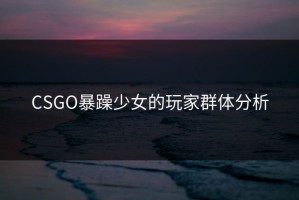 CSGO暴躁少女的玩家群体分析