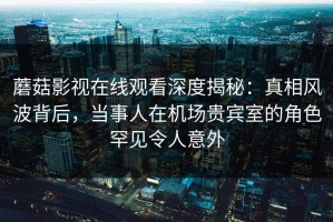 蘑菇影视在线观看深度揭秘：真相风波背后，当事人在机场贵宾室的角色罕见令人意外