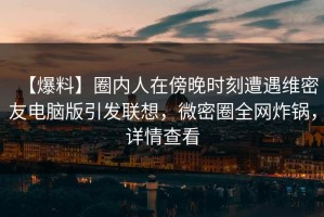 【爆料】圈内人在傍晚时刻遭遇维密友电脑版引发联想，微密圈全网炸锅，详情查看