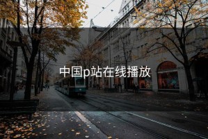 中国p站在线播放