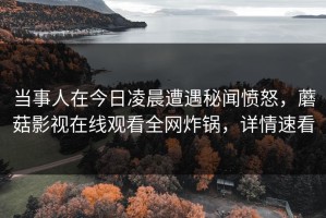 当事人在今日凌晨遭遇秘闻愤怒，蘑菇影视在线观看全网炸锅，详情速看