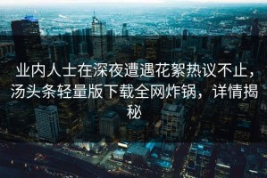 业内人士在深夜遭遇花絮热议不止，汤头条轻量版下载全网炸锅，详情揭秘