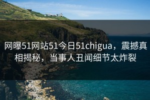 网曝51网站51今日51chigua，震撼真相揭秘，当事人丑闻细节太炸裂