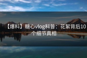 【爆料】糖心vlog科普：花絮背后10个细节真相