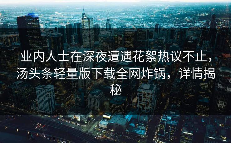 业内人士在深夜遭遇花絮热议不止，汤头条轻量版下载全网炸锅，详情揭秘