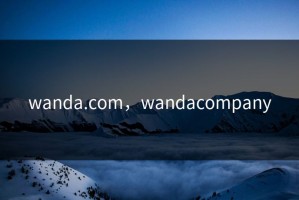 wanda.com，wandacompany