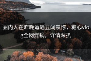 圈内人在昨晚遭遇丑闻震惊，糖心vlog全网炸锅，详情深扒