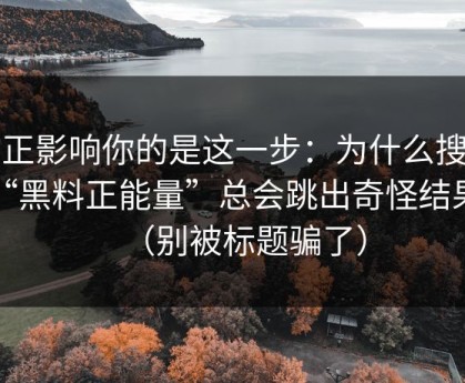 真正影响你的是这一步：为什么搜索“黑料正能量”总会跳出奇怪结果？（别被标题骗了）