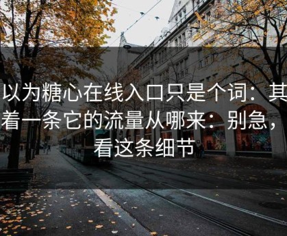 你以为糖心在线入口只是个词：其实牵着一条它的流量从哪来：别急，先看这条细节
