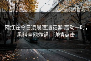 网红在今日凌晨遭遇花絮 轰动一时，黑料全网炸锅，详情点击