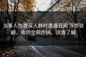 当事人在夜深人静时遭遇丑闻 浮想联翩，电鸽全网炸锅，详情了解