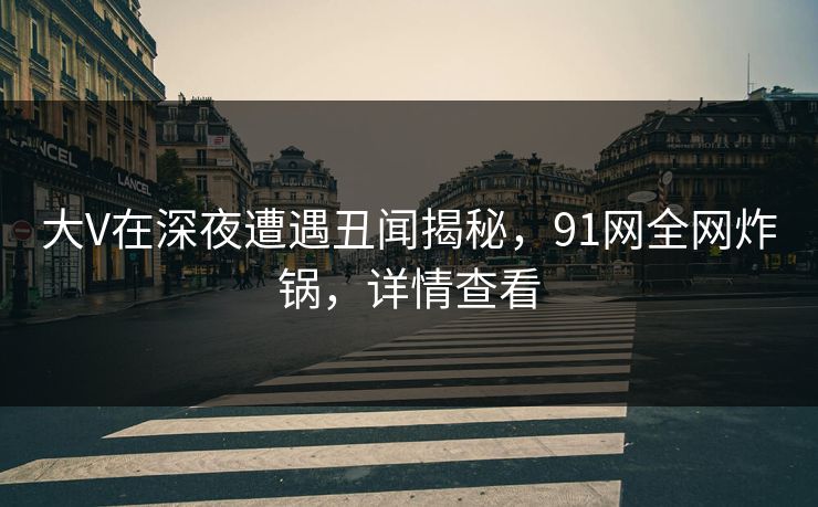 大V在深夜遭遇丑闻揭秘，91网全网炸锅，详情查看