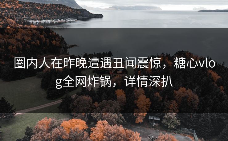 圈内人在昨晚遭遇丑闻震惊，糖心vlog全网炸锅，详情深扒