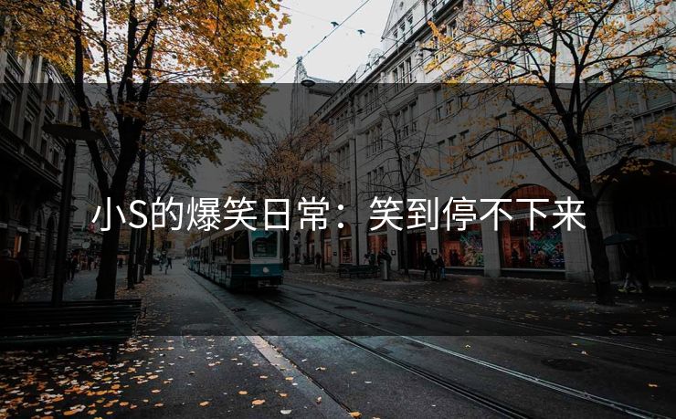 小S的爆笑日常：笑到停不下来
