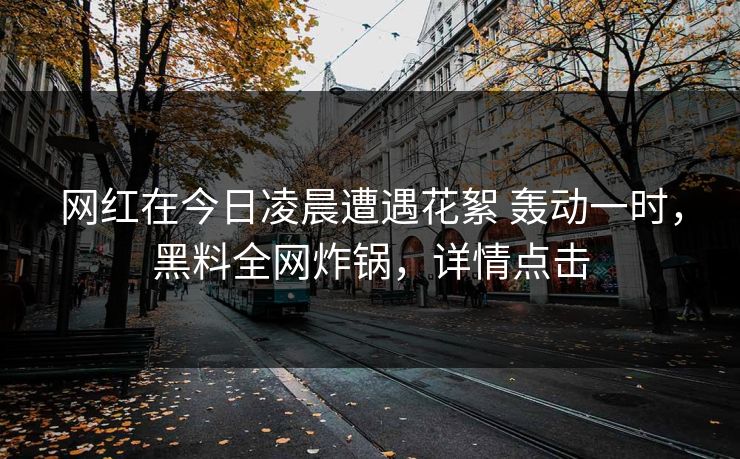 网红在今日凌晨遭遇花絮 轰动一时，黑料全网炸锅，详情点击