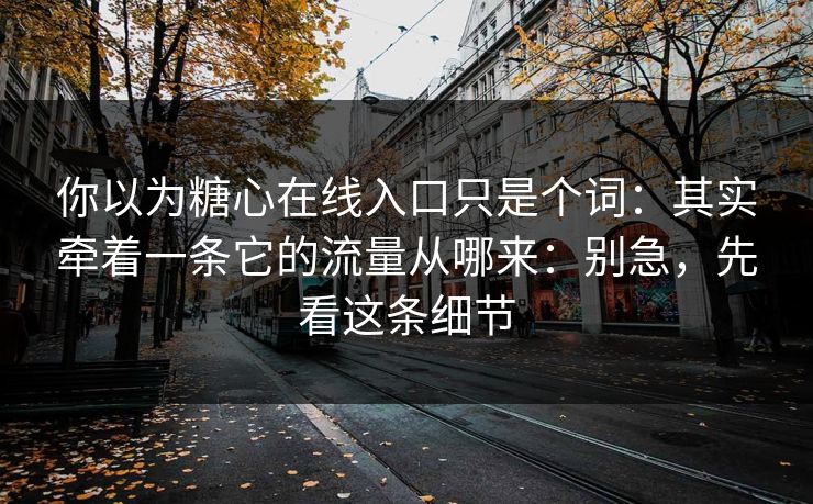 你以为糖心在线入口只是个词：其实牵着一条它的流量从哪来：别急，先看这条细节