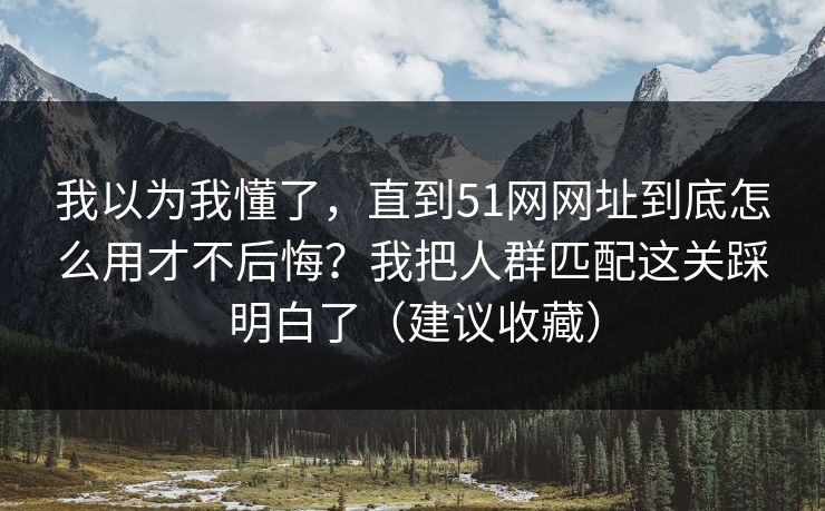 我以为我懂了，直到51网网址到底怎么用才不后悔？我把人群匹配这关踩明白了（建议收藏）
